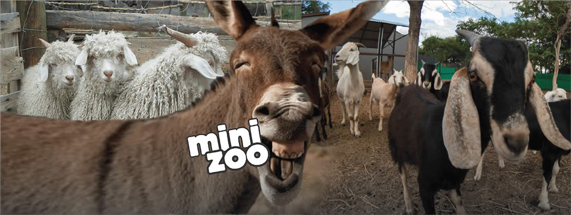 ARCA DE NOE MULTIPARQUE